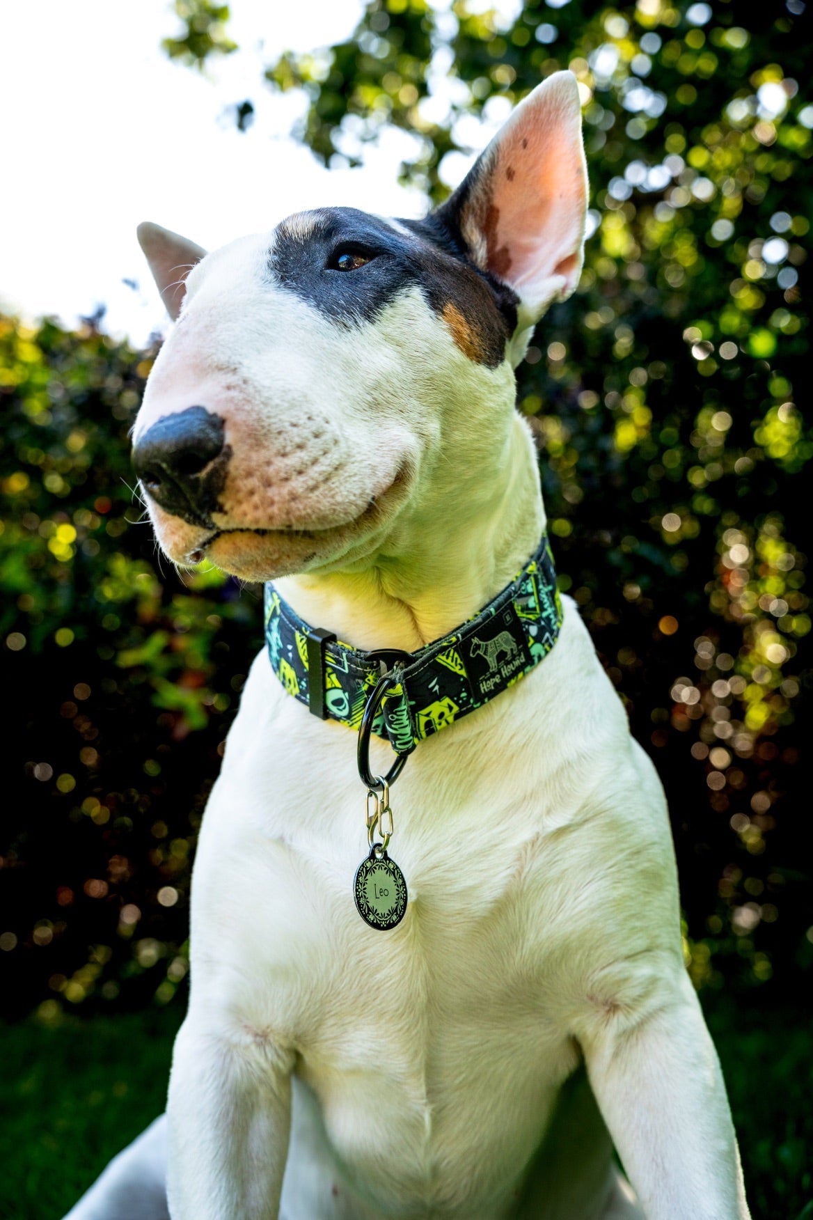 Limited Slip Collars