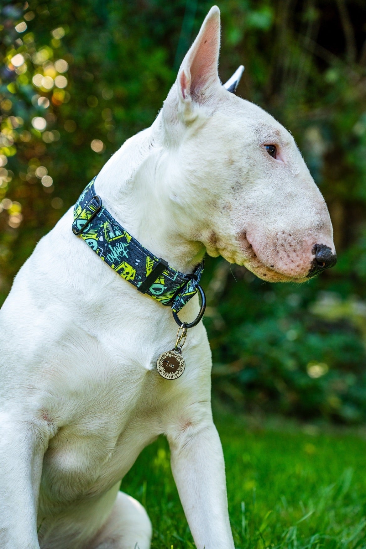 Urban Collars