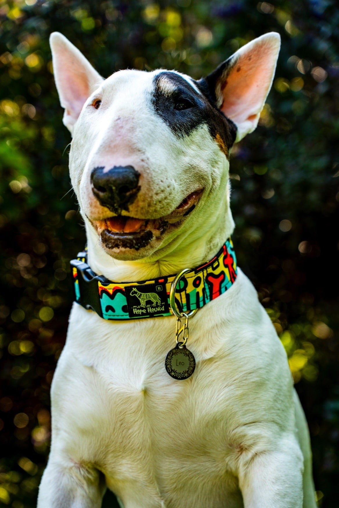 Abstract Art Collars