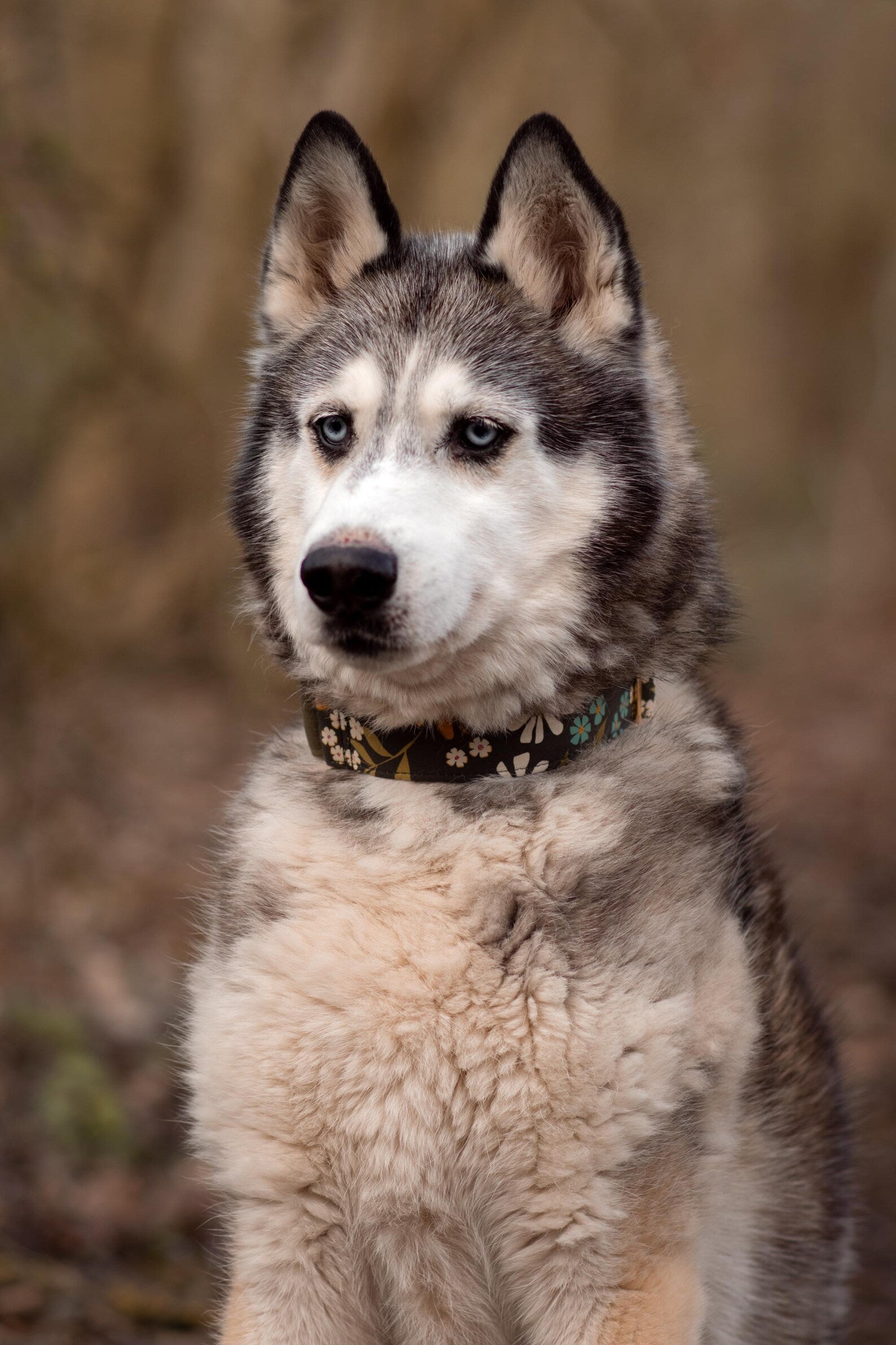 Floral Collars