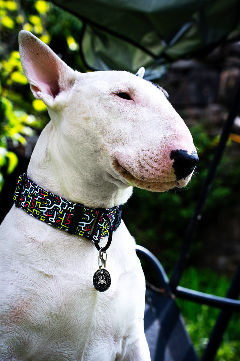 Maze Collars