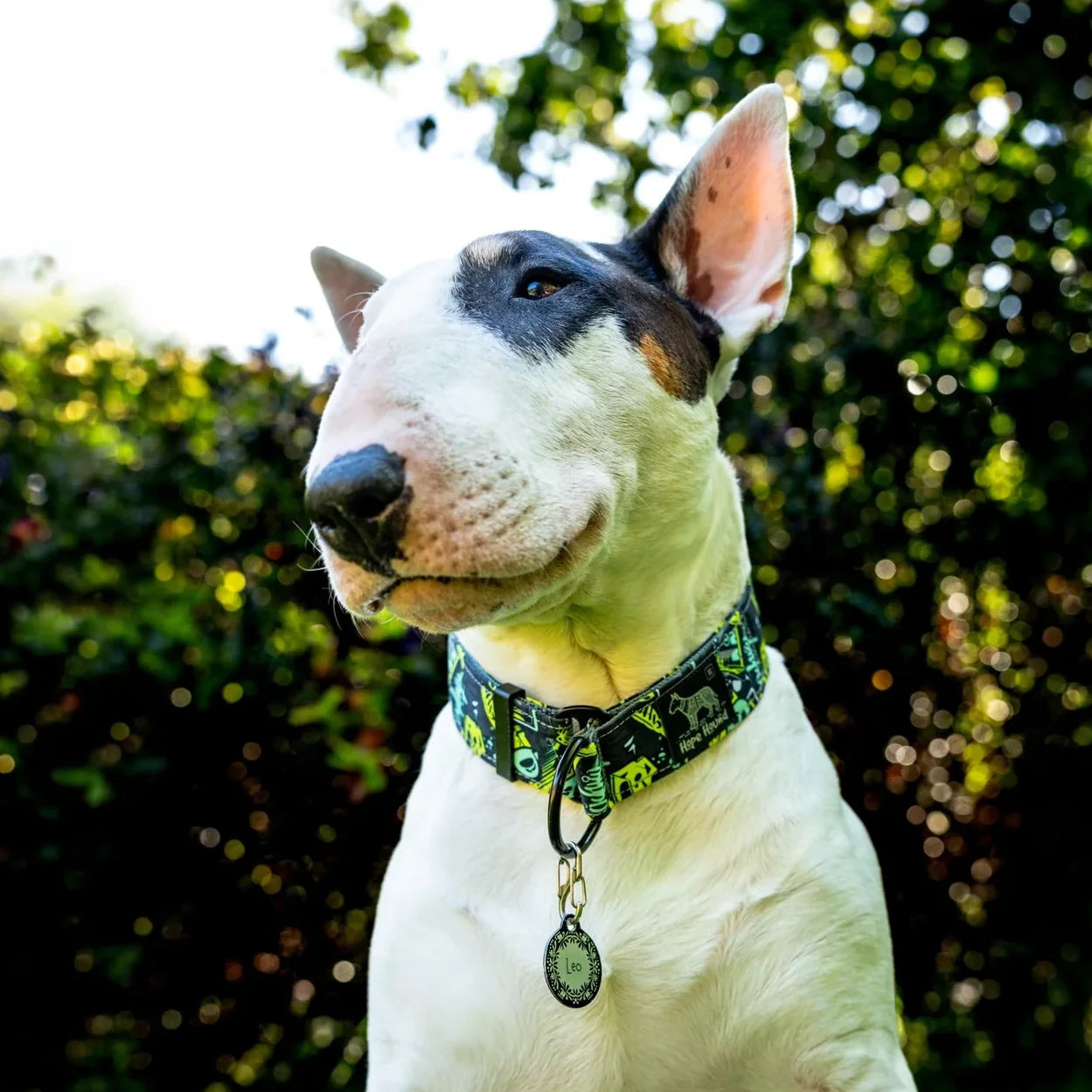 Limited Slip Collars