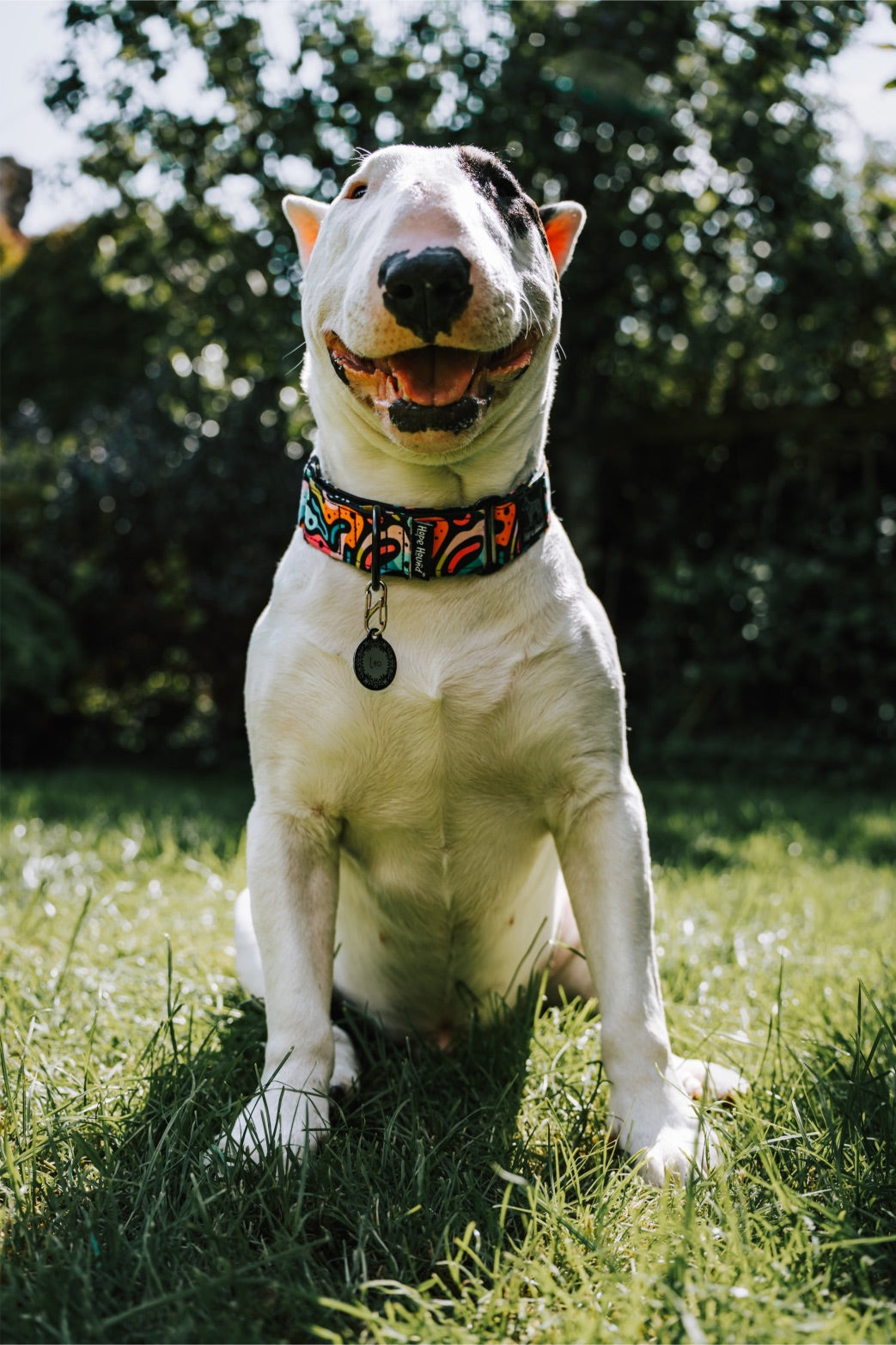 Martingale Collars
