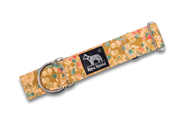 Amberlight - Limited Slip Collar