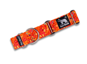 Tangerine Dream - Martingale Collar