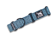 Quest - Martingale Collar