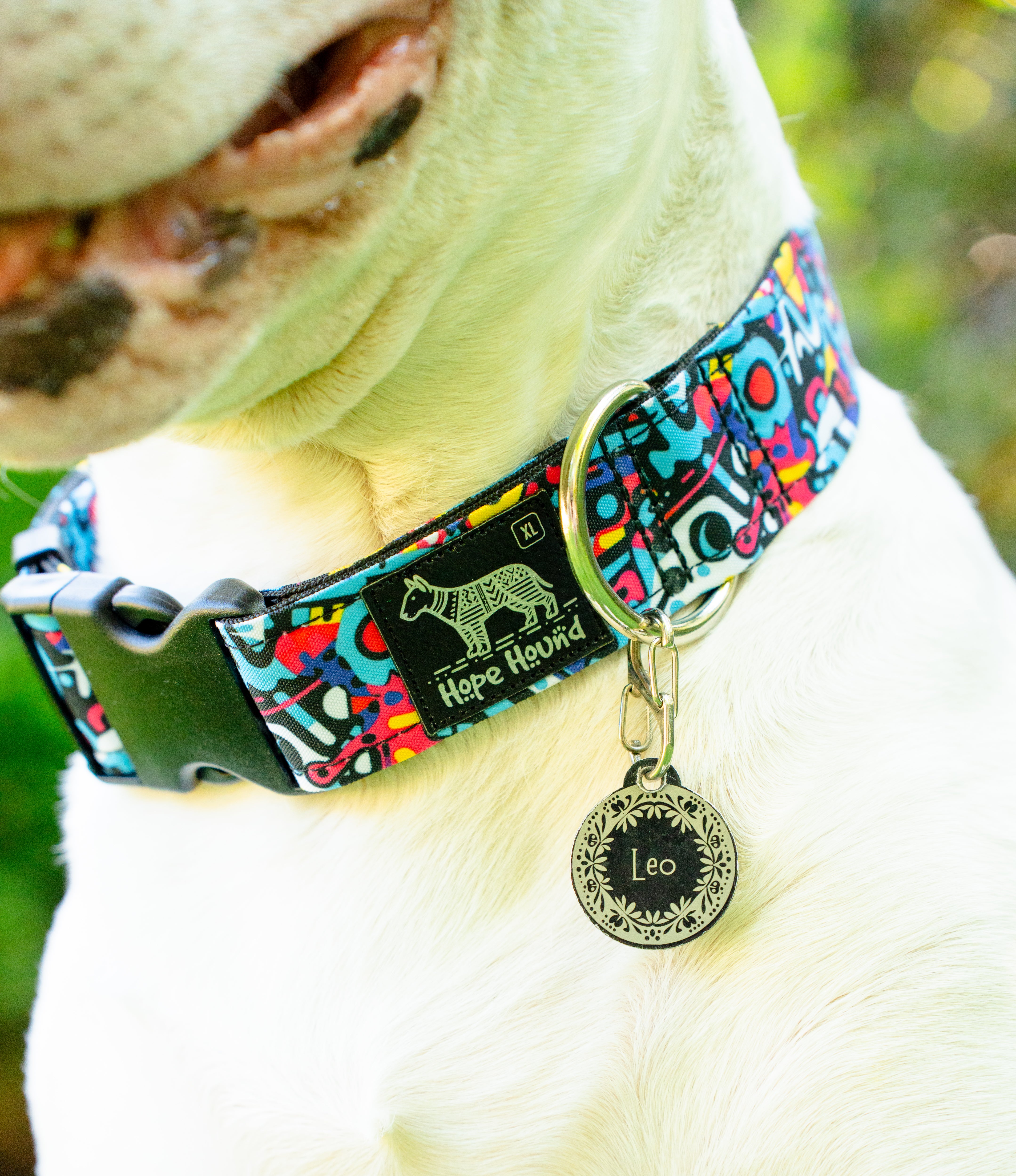 Street Life - Buckle Collar