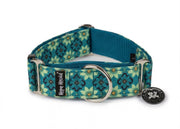Bloom - Martingale Collar