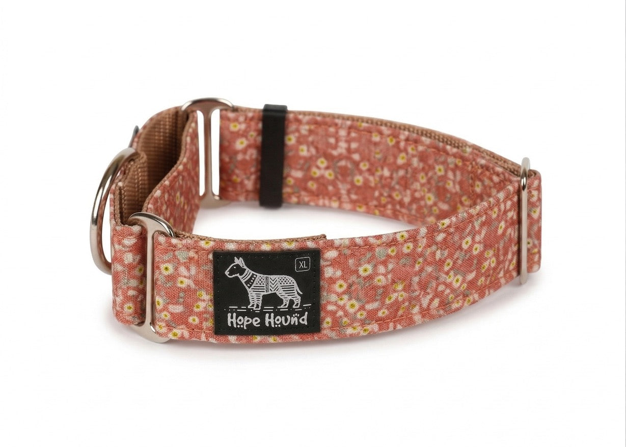 Corral - Martingale Collar