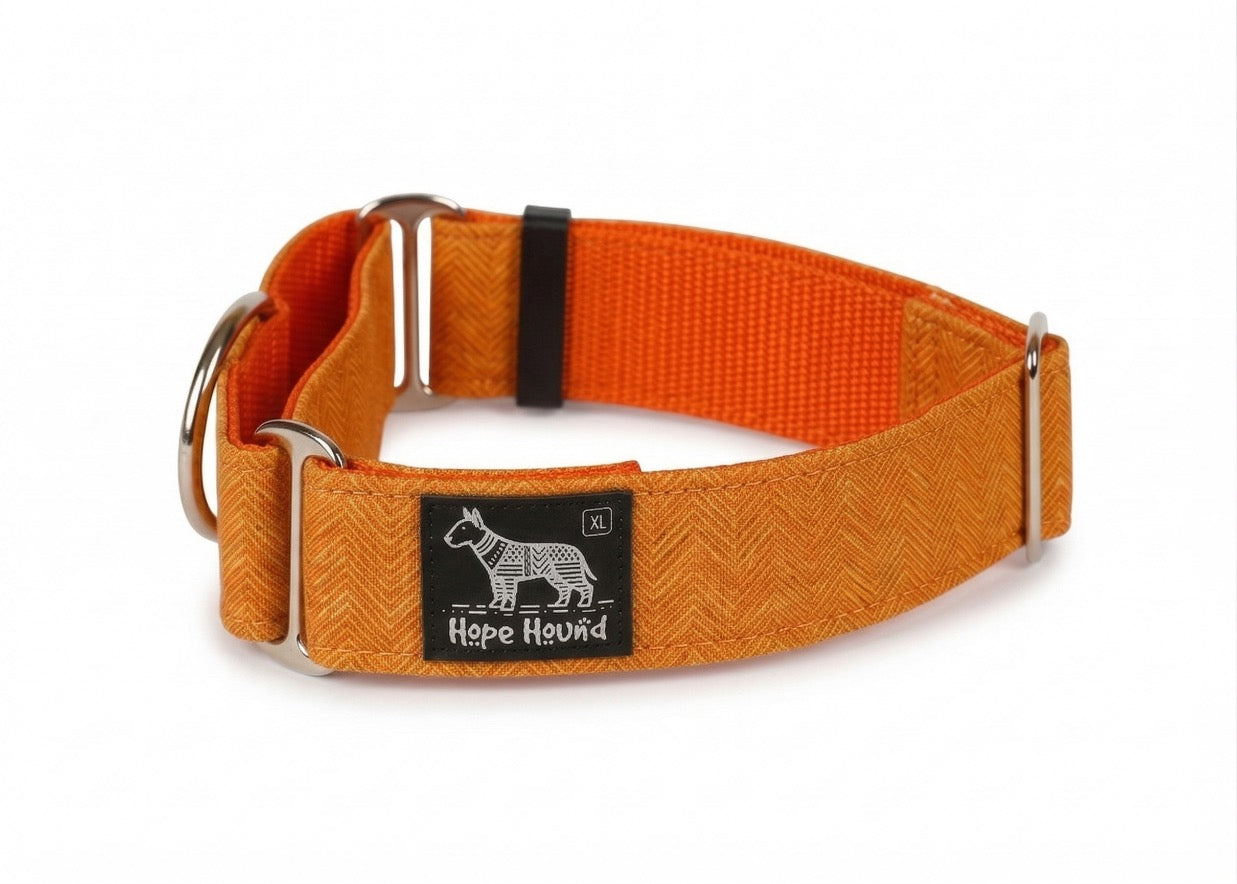 Orange Hatch - Martingale Collar