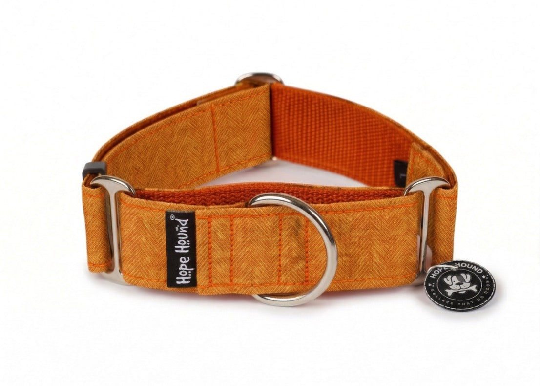 Orange Hatch - Martingale Collar