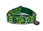 Pistachio - Martingale Collar