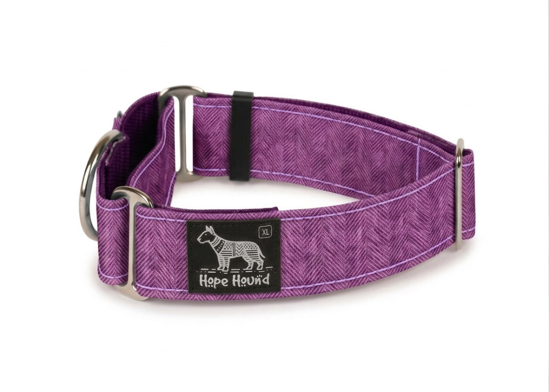 Purple Hatch - Martingale Collar