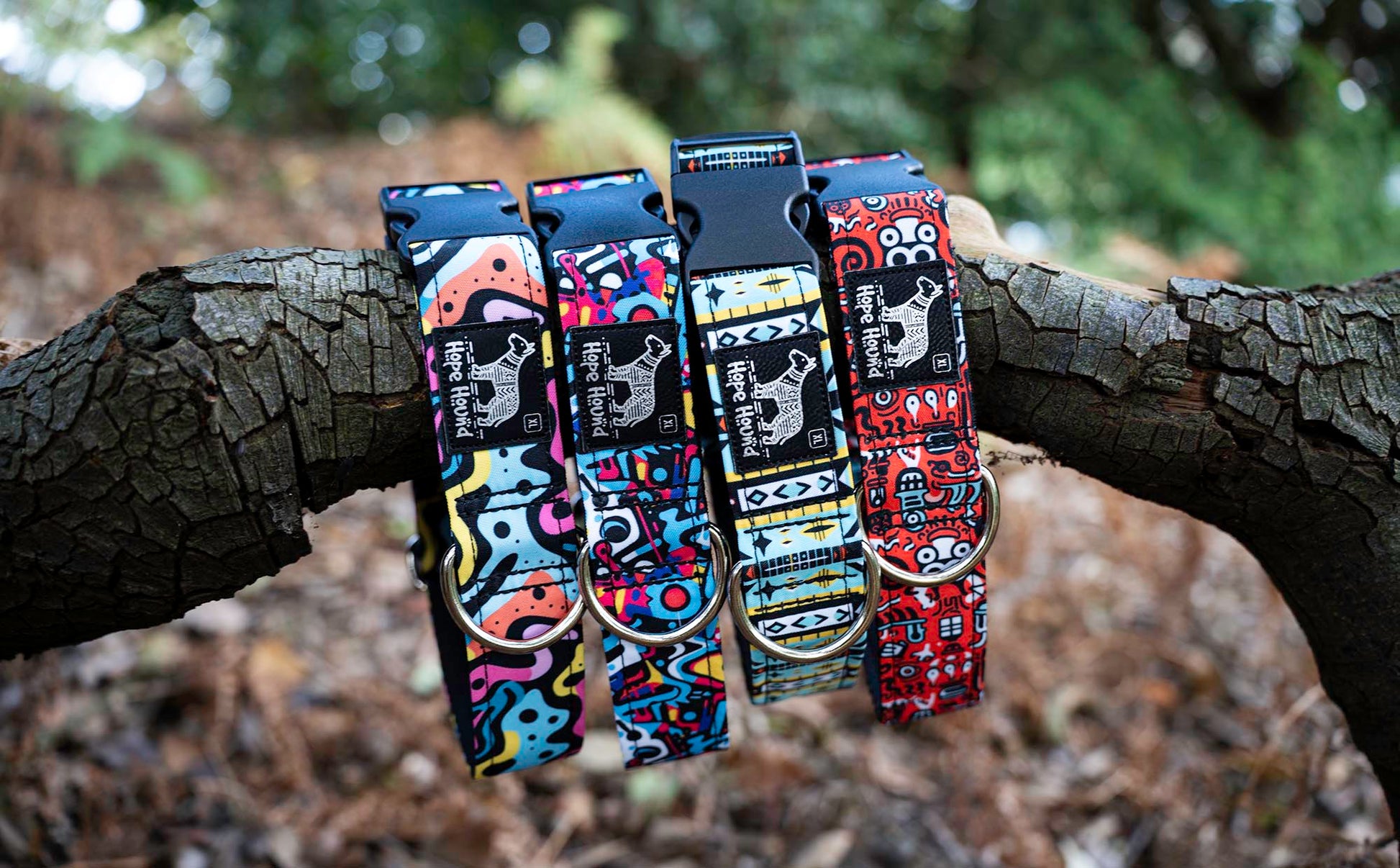 Four colorful dog collars hanging on a tree branch with a natural background.